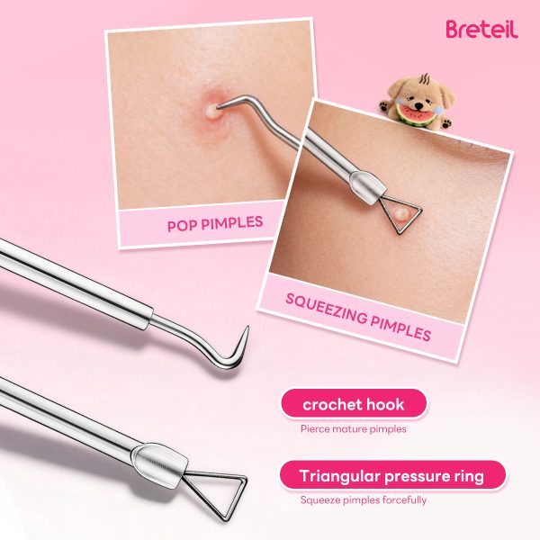 Breteil Wholesale  4-Piece Stainless Steel Facial Acne & Blackhead Removal Kit Wholesale 4pcs Acne Extraction Tools Case